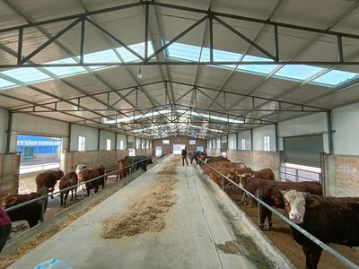 强措施 重服务 全力提升畜牧水产技术推广质效